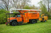 Jason's Tree Services