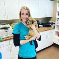 Companions Animal Hospital