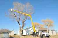Roberts & Son's Tree Services Inc