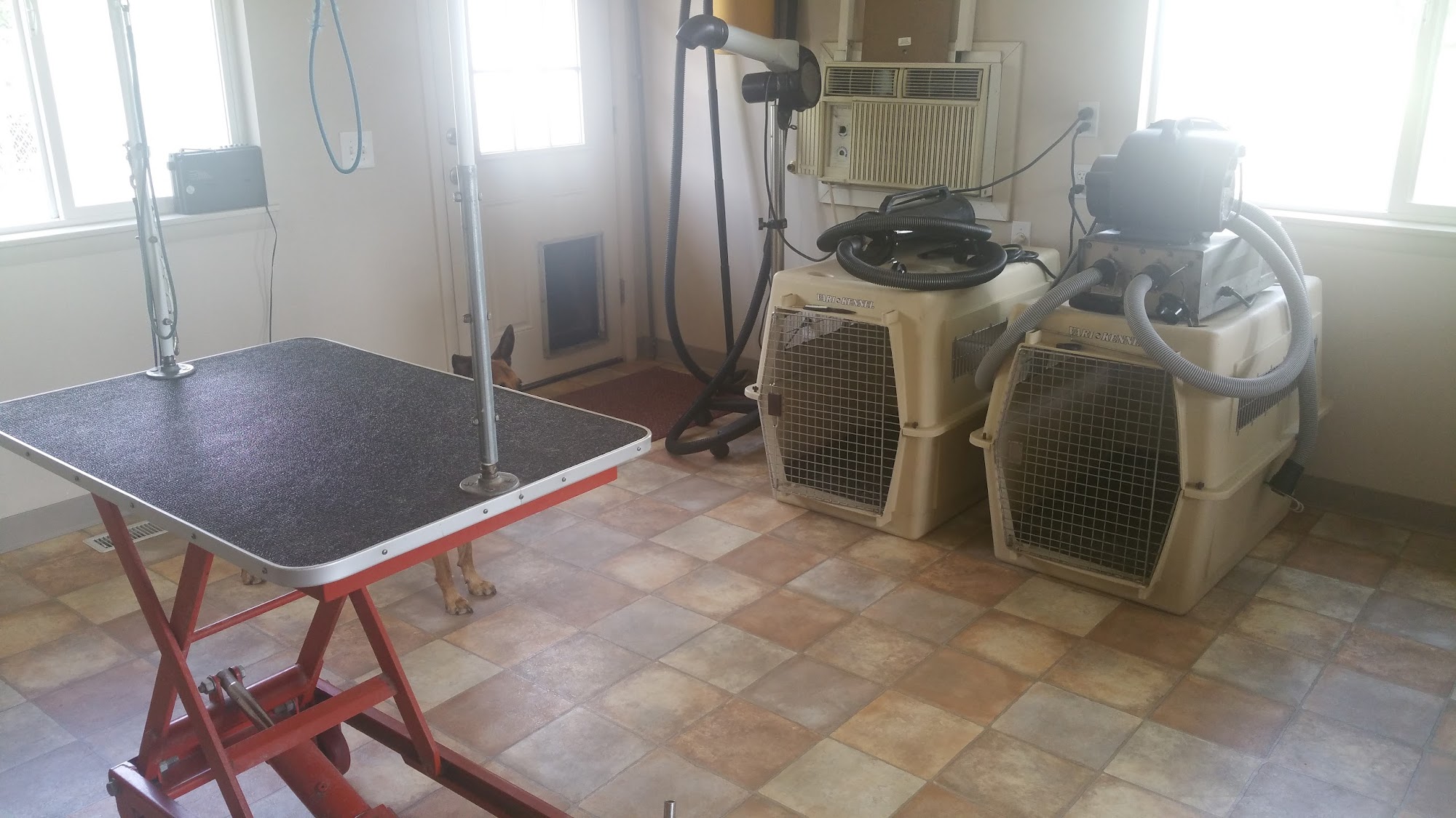 Doggie-Do Pet Grooming Meridian