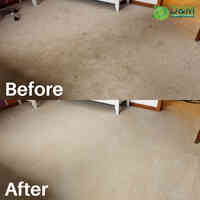 DM Carpet Cleaning