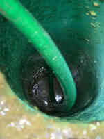 Ace Drain and Sewer Experts Inc.