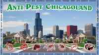 Anti Pest Chicagoland LLC