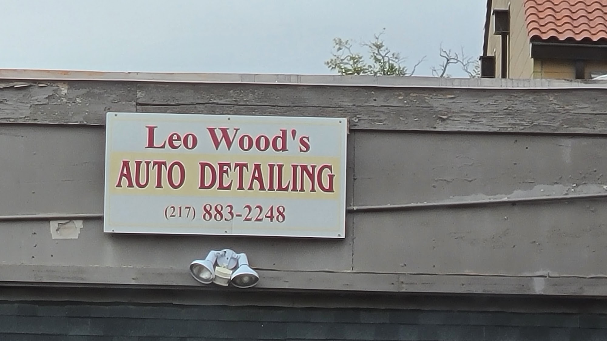 Leo Wood's Auto Detailing