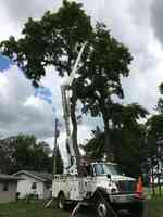 Bree Construction and Tree Service