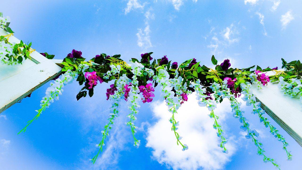 ultra violet photography