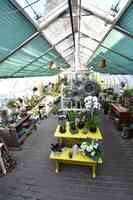 Shamrock Garden Florist Ltd.