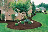 Picture Perfect Lawn & Landscaping