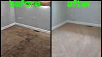 Filthy 2 Clean Steam Team Carpet/Upholstery/ Tile Floor Cleaning
