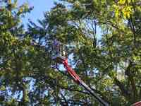 Cam's Tree Service