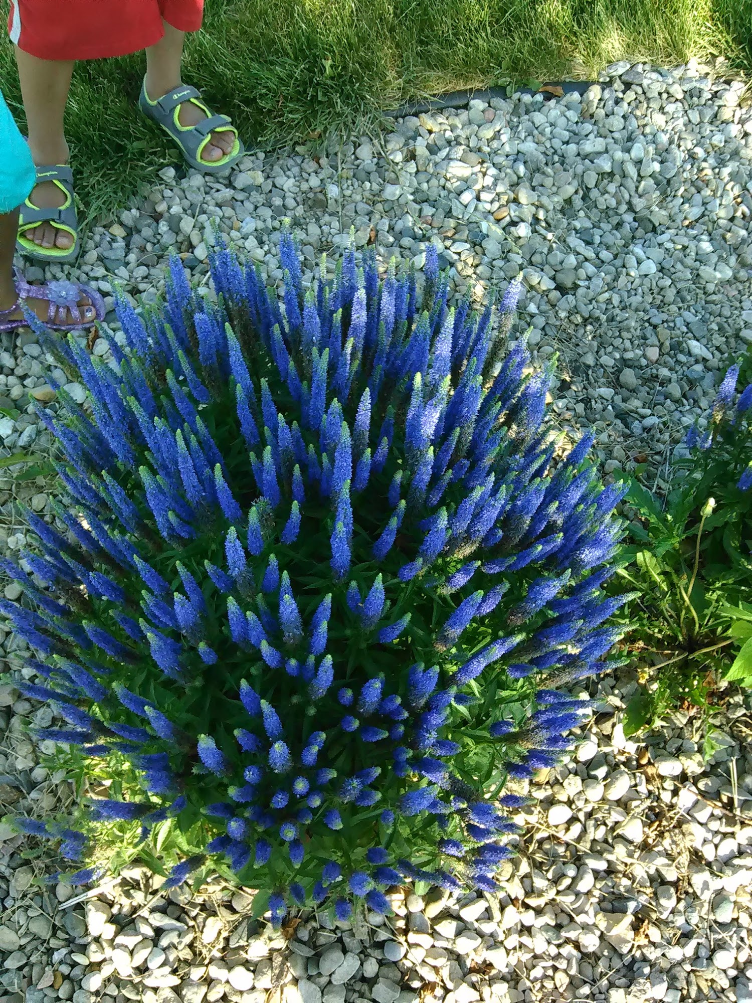 Maggard Construction