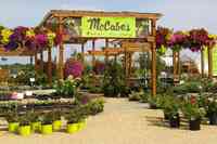 McCabe's Greenhouse & Floral