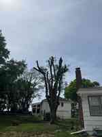 Tornado Lawn & Tree ServicesLLC