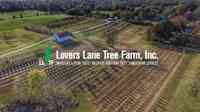 Lovers Lane Tree Farm