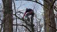 K&G Property Maintenance LLLP tree service