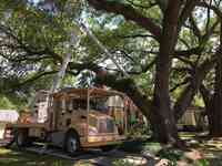 Bayou Tree Service, Inc.