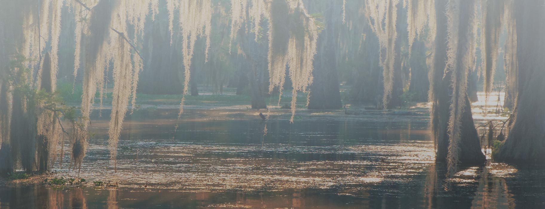 Advantage Financial Services - Thibodaux