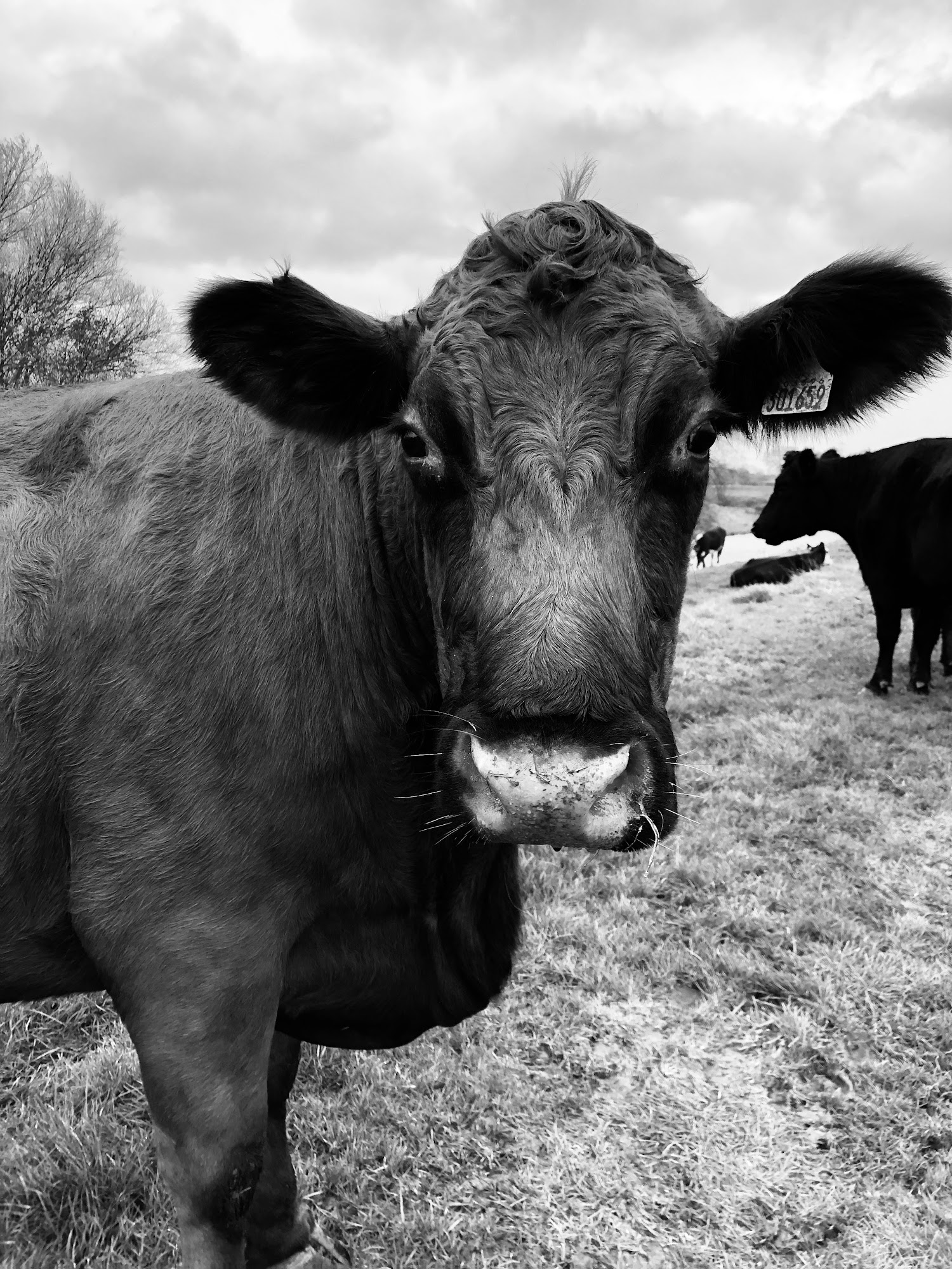 3 Daughters @ Croft Farm