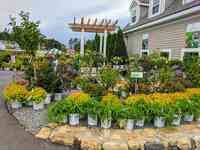 Seoane's Garden Center