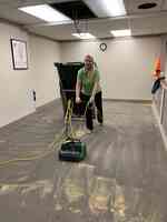 Marlene's Green Carpet Cleaning