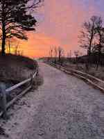 Wise Body & Mind - Mercedez Calleros LMT & Lifestyle Coaching