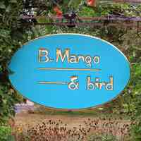 B Mango & bird