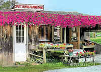 Cretinon's Farm Stand