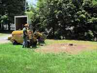 Hayward Stump Grinding