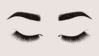 Brows by Harsha