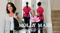 Molly Maid of Southeast Worcester County