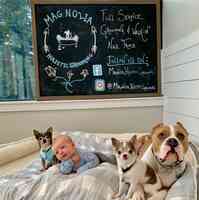 Magnolia Holistic Grooming