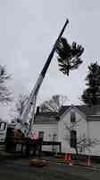 Aplus tree service