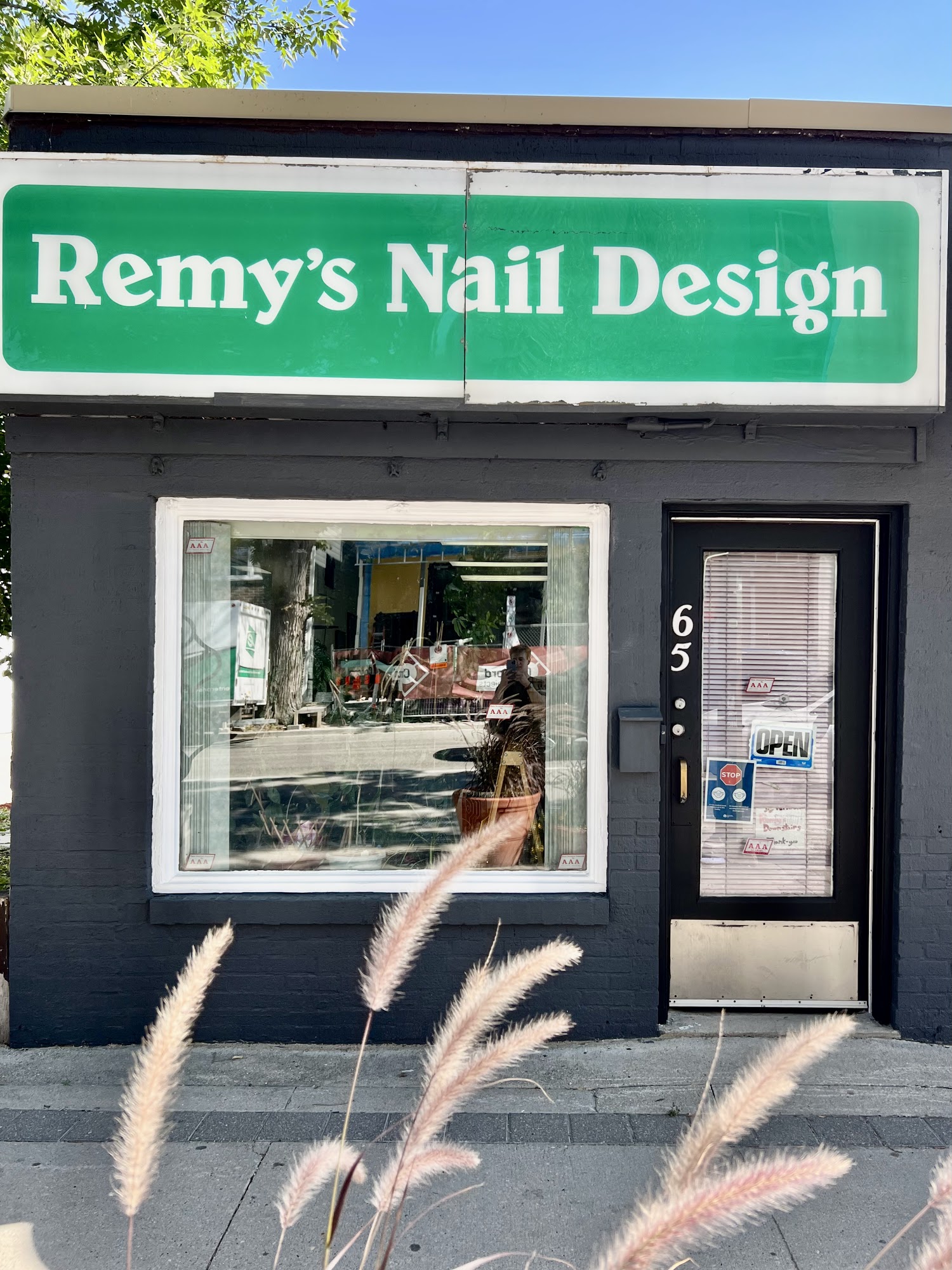 Remy's Nail Design