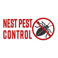 Nest Pest Control Baltimore