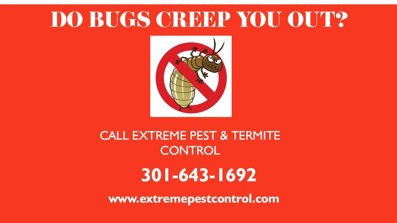 Extreme Pest & Termite Control 15850 Campfire Pl, Hughesville Maryland 20637