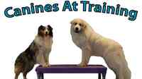 Canines At Training