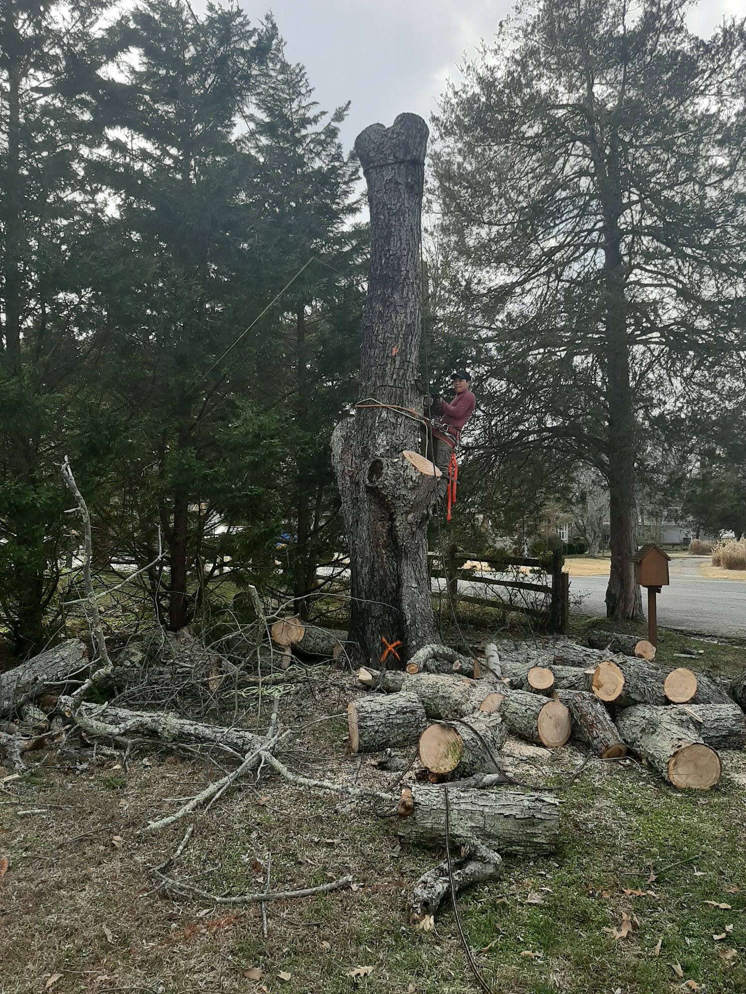 Jose’s Landscape and Hardscape