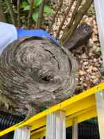 Complete Pest Solutions