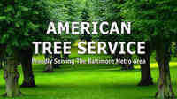 American Tree Service
