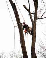 Bergeron Tree Service