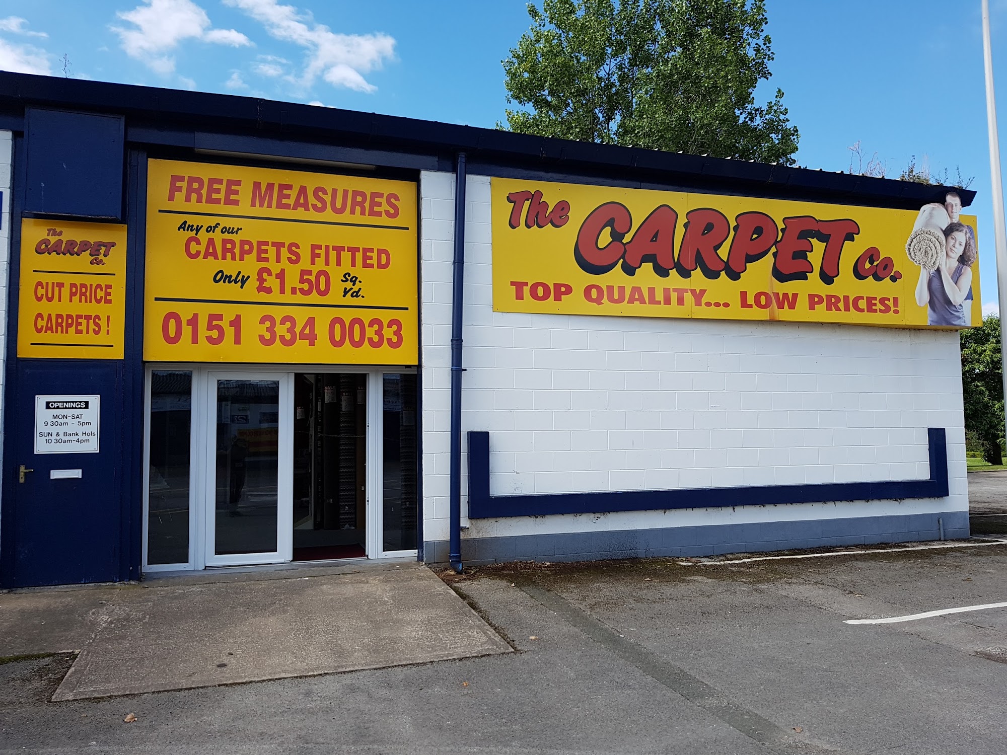 The Carpet Company
