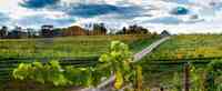Dablon Winery & Vineyards