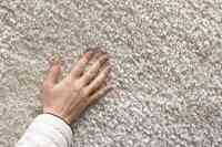 Blough's Carpet Cleaning and Restoration