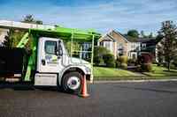 West Michigan Tree Services - SavATree