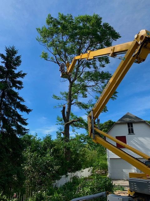 Photo credit: bestprosintown