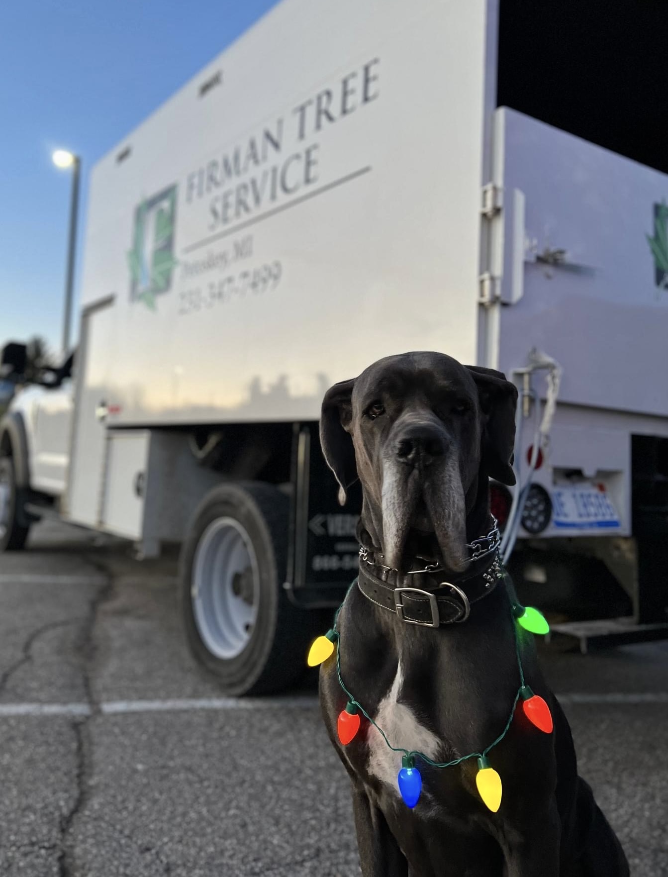 Photo credit: bestprosintown