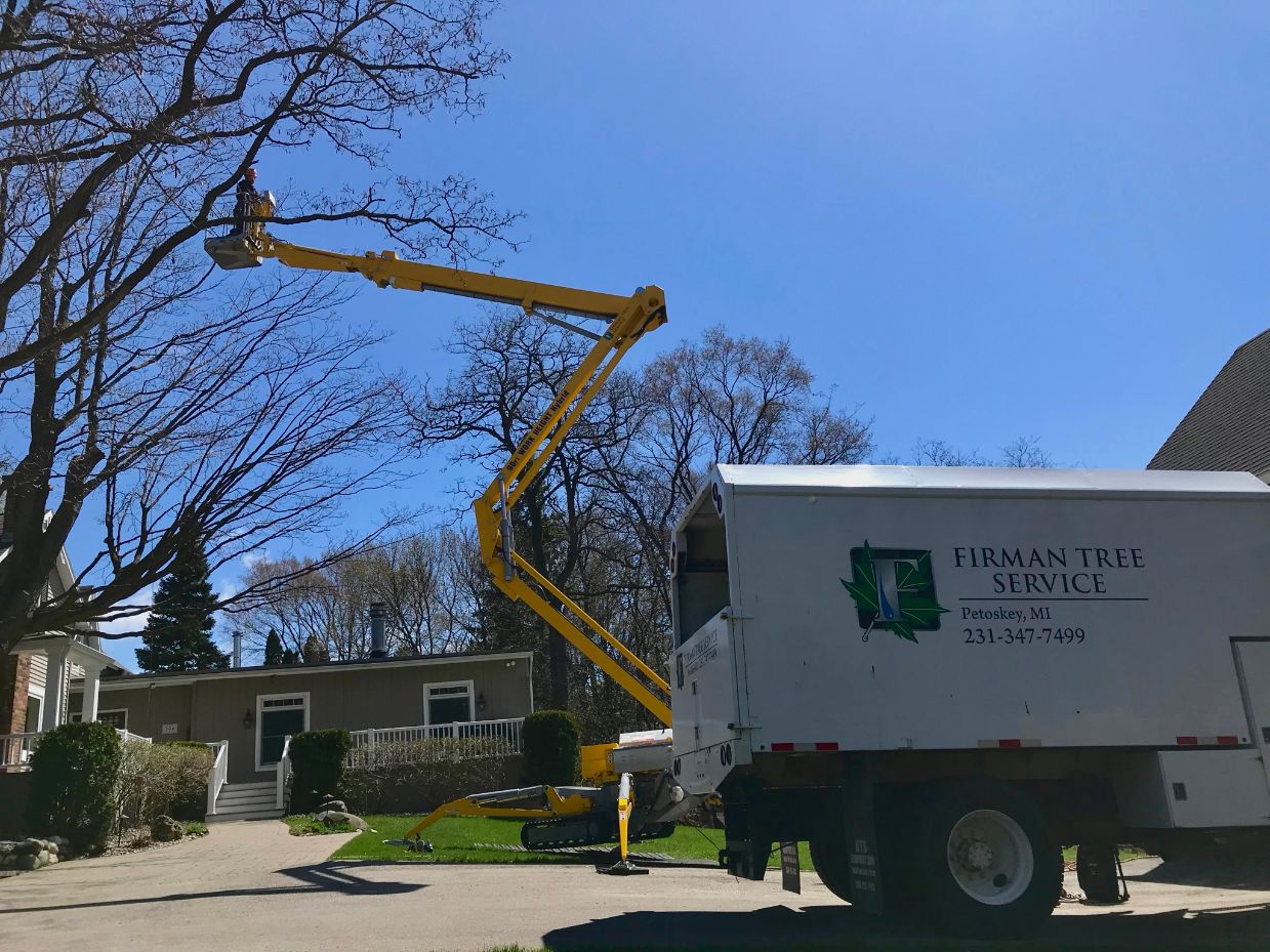 Photo credit: bestprosintown