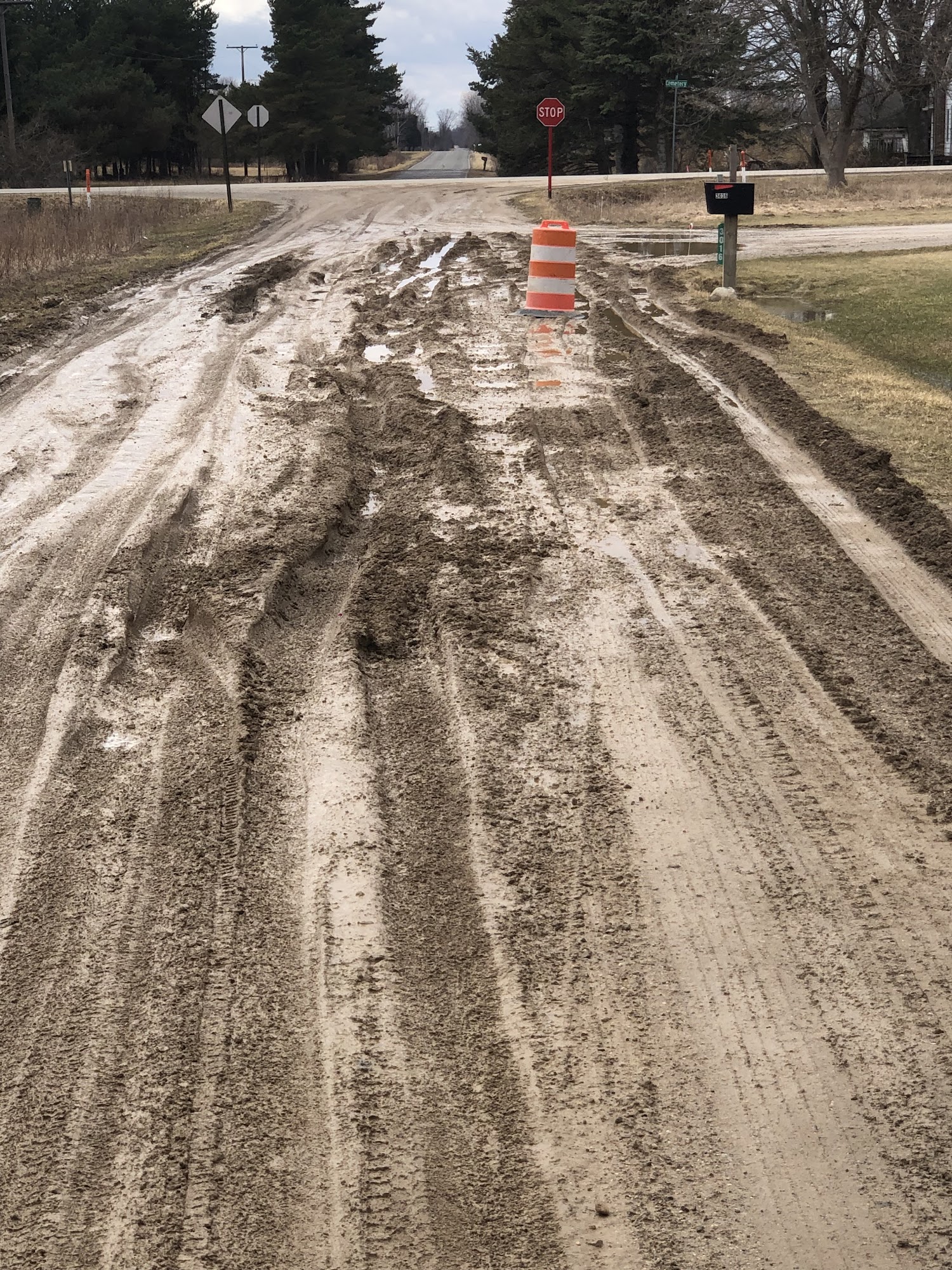 Wonsey's Tree Services