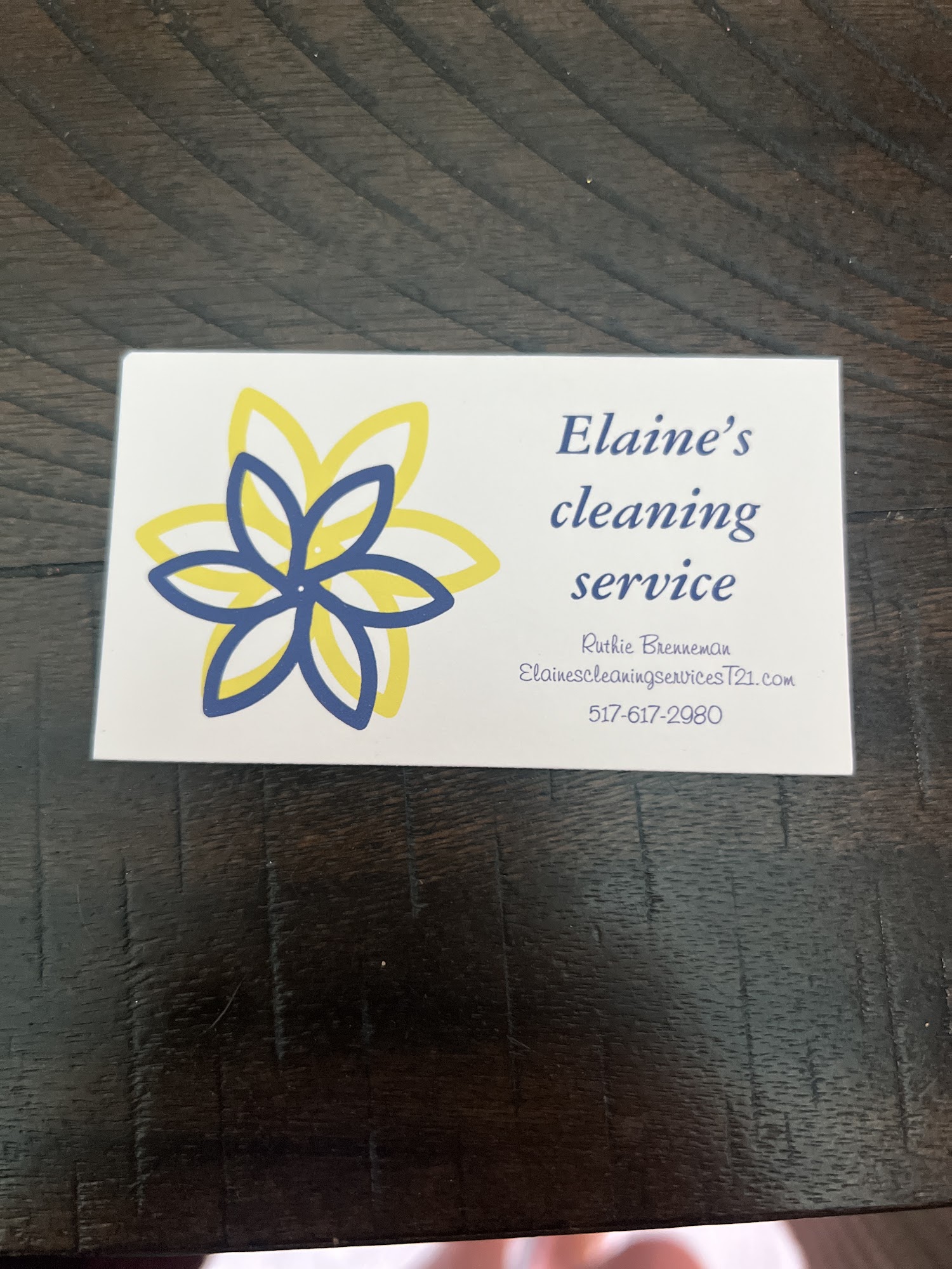 Elaine's cleaning service 233 E Girard Rd, Union City Michigan 49094