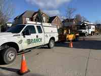 Branch Tree Service and Landscaping